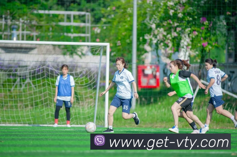 v体育平台生态图